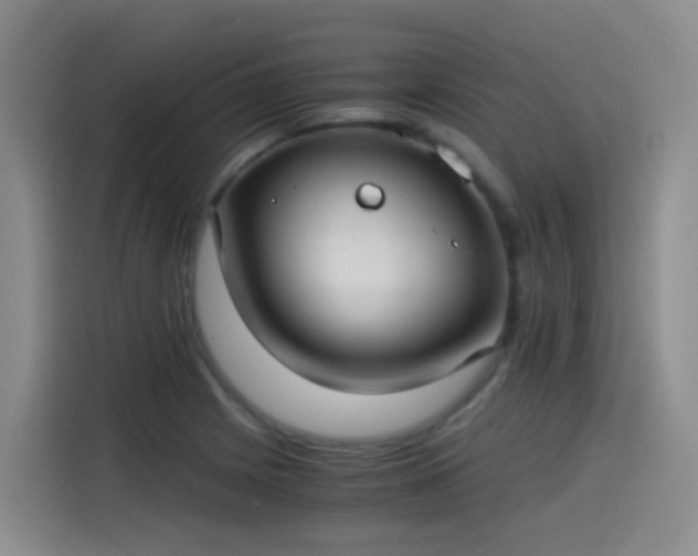 X0000115281225200911061321