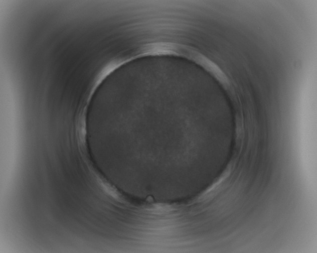 X0000115281226200911061321