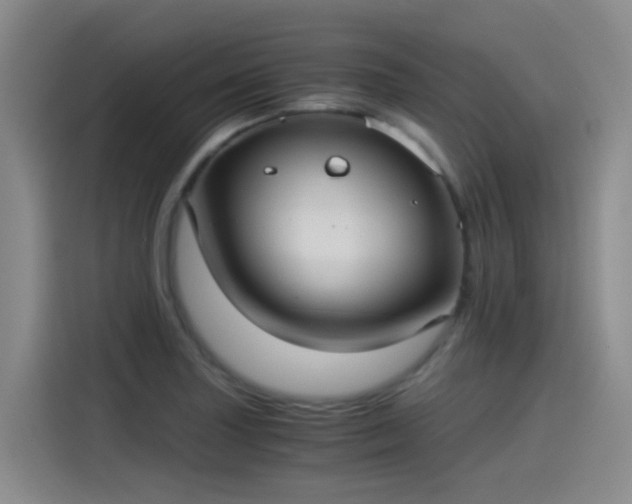 X0000115281227200911061321