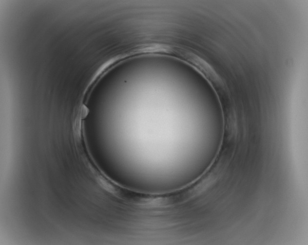 X0000115281228200911061321