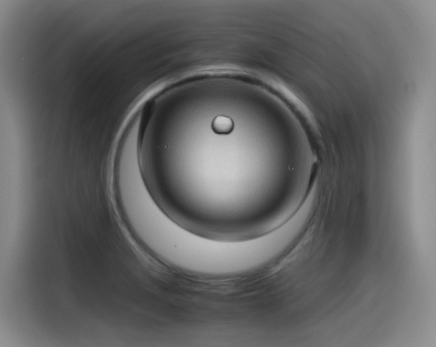 X0000115281229200911061321