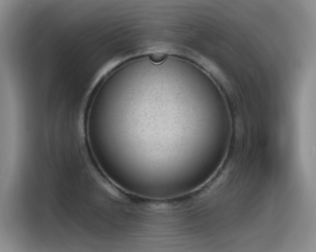 X0000115281230200911061321