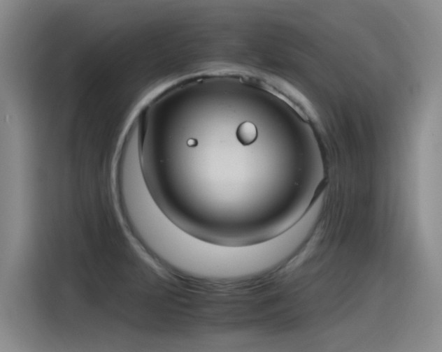 X0000115281231200911061321