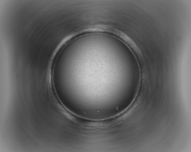 X0000115281232200911061321