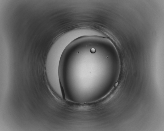 X0000115281233200911061321