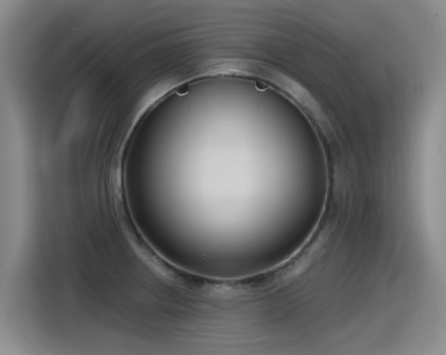 X0000115281234200911061321