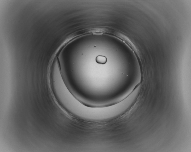 X0000115281235200911061321