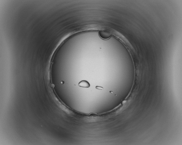 X0000115281236200911061321