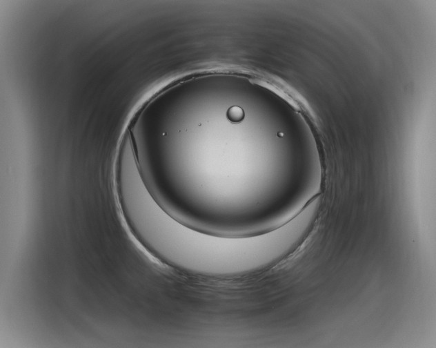 X0000115281239200911061321