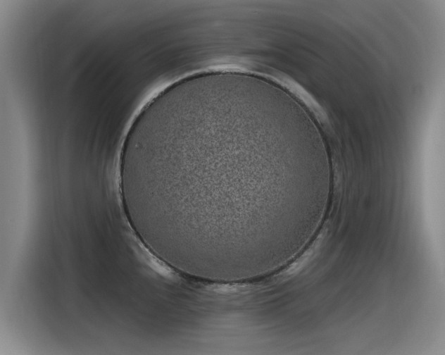 X0000115281240200911061321