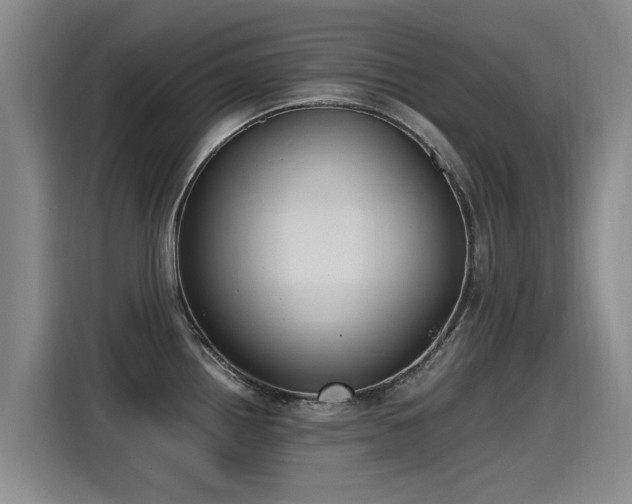 X0000115281242200911061321