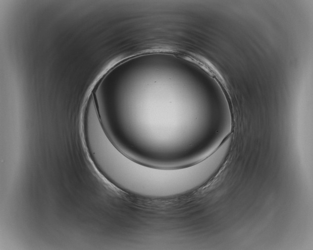 X0000115281243200911061321