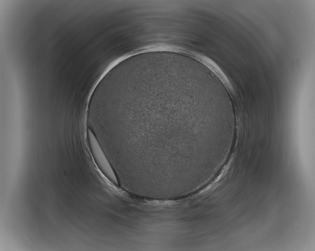X0000115281244200911061321