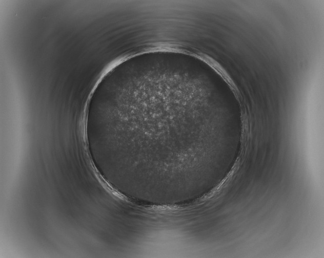 X0000115281246200911061321