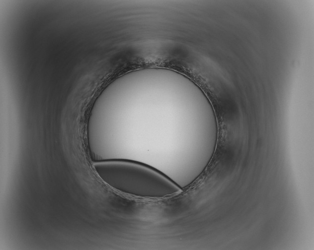 X0000115281249200911061321