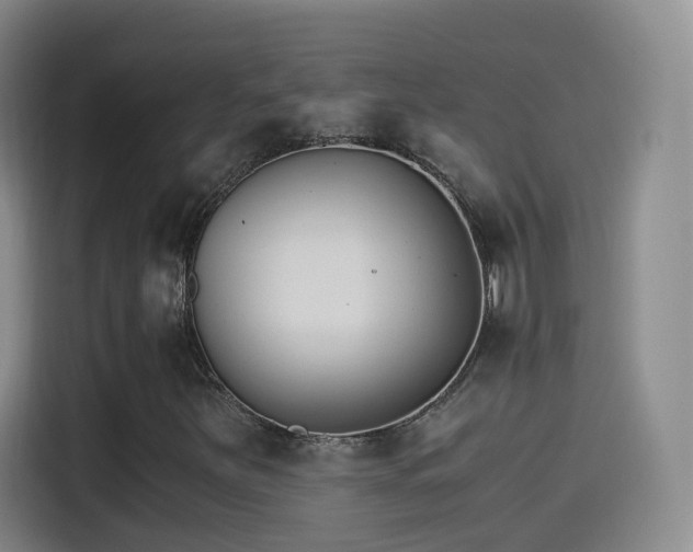 X0000115281251200911061321