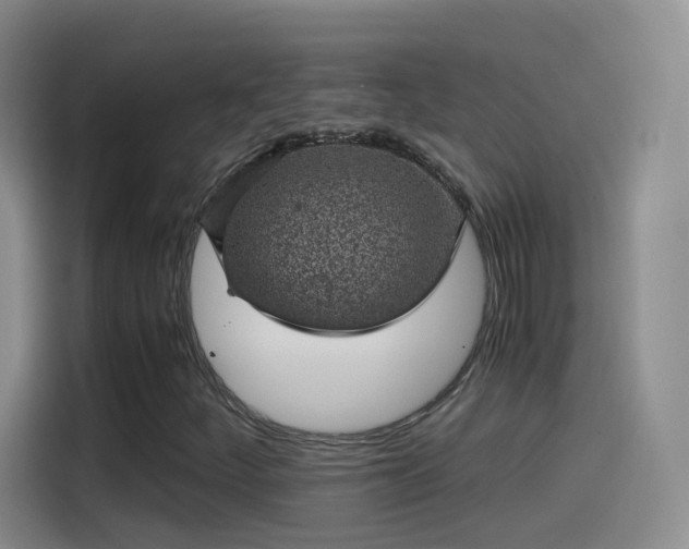 X0000115281252200911061321