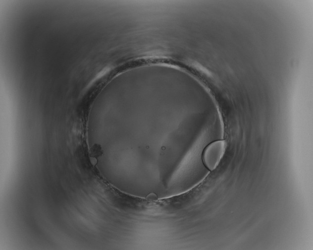 X0000115281255200911061321