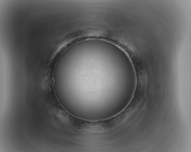 X0000115281256200911061321