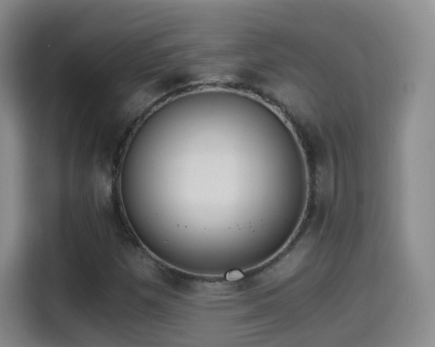 X0000115281257200911061321
