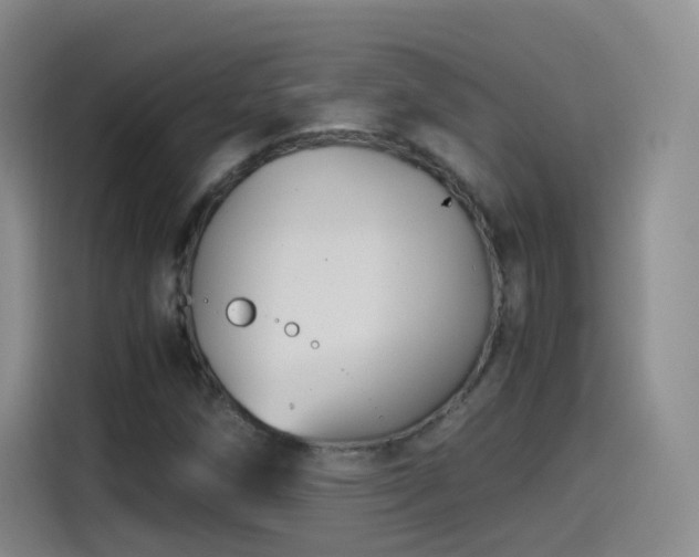 X0000115281258200911061321