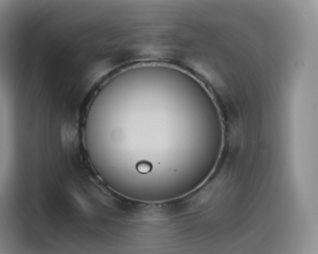 X0000115281259200911061321