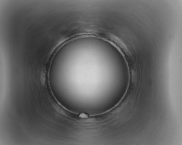 X0000115281260200911061321