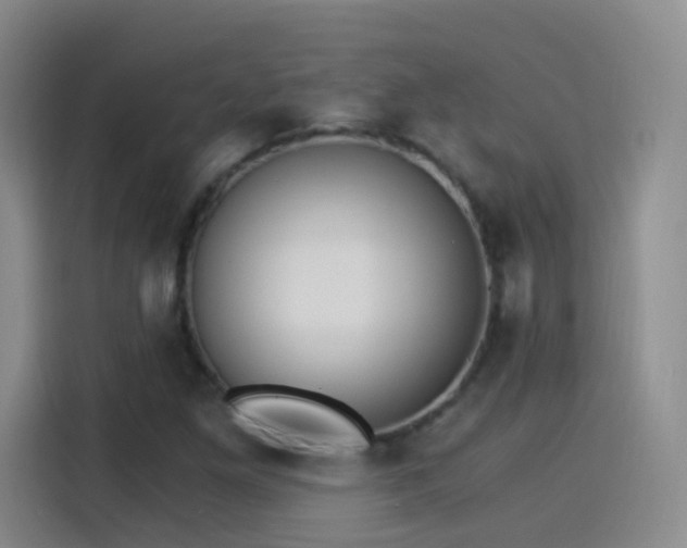 X0000115281261200911061321