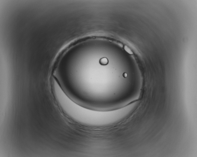 X0000115281264200911061321