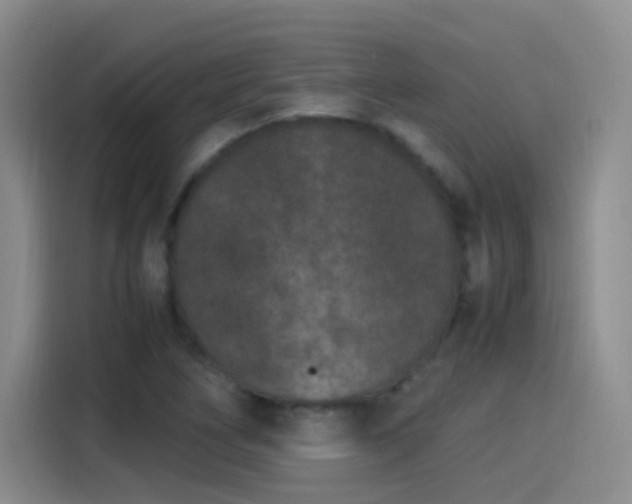 X0000115281266200911061321