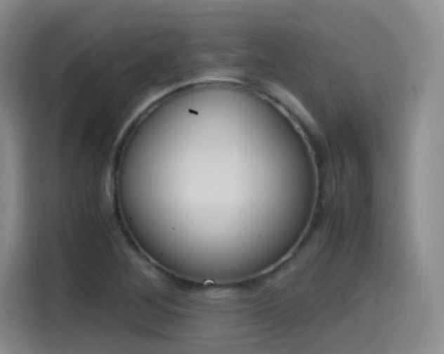 X0000115281268200911061320
