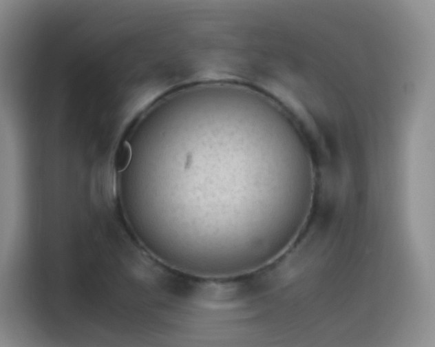 X0000115281269200911061320
