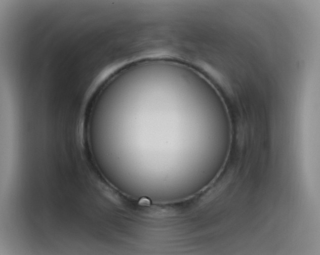 X0000115281270200911061320