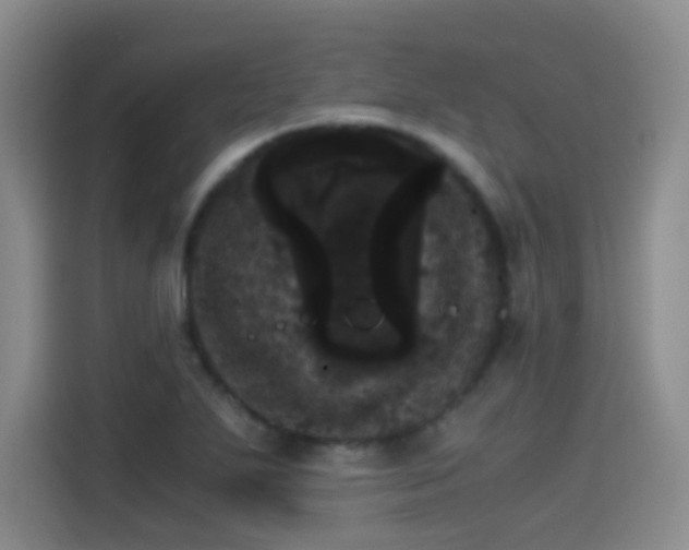 X0000115281271200911061320