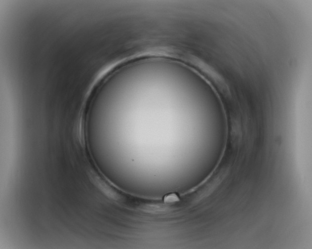 X0000115281272200911061320