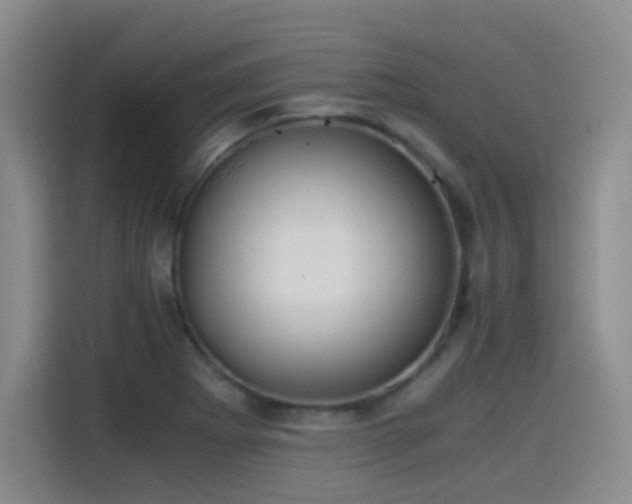 X0000115281273200911061320