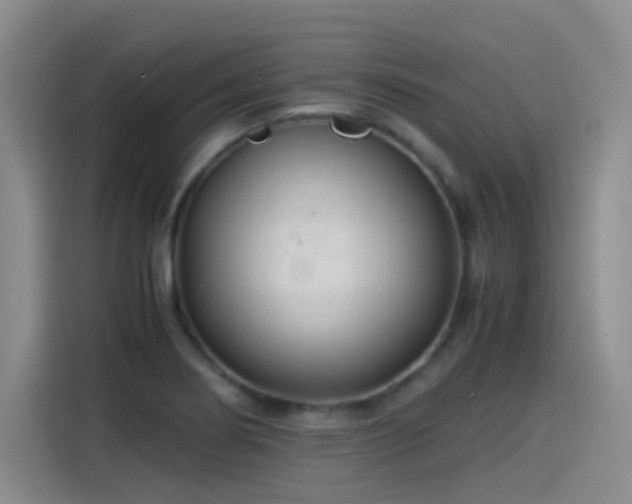 X0000115281274200911061320