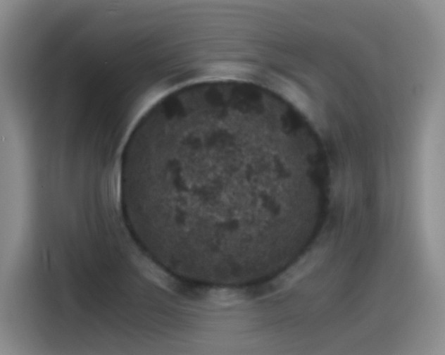 X0000115281275200911061320