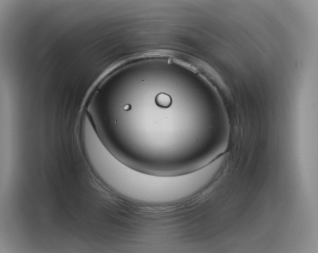 X0000115281276200911061320