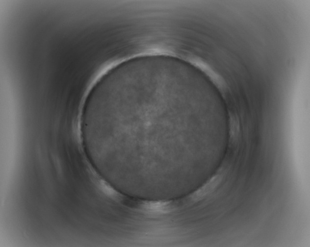 X0000115281278200911061320
