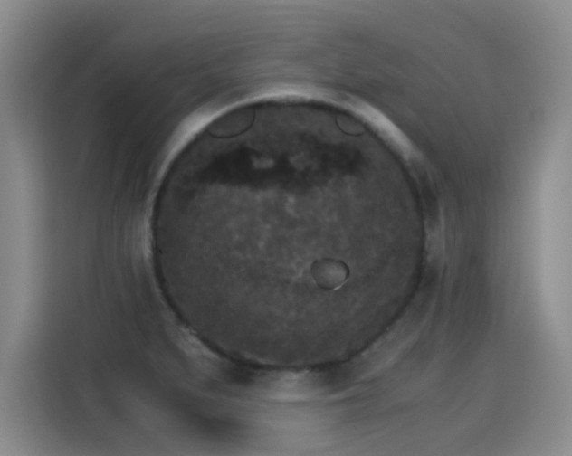 X0000115281279200911061320