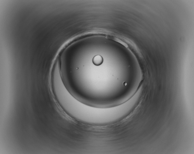 X0000115281280200911061320