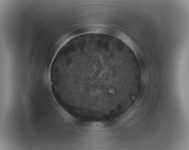 X0000115281283200911061320