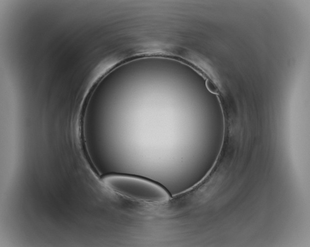 X0000115281285200911061320