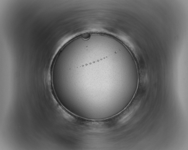X0000115281287200911061320