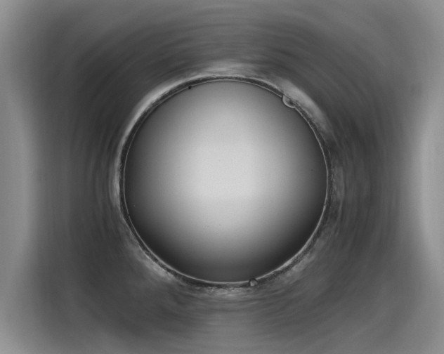 X0000115281288200911061320