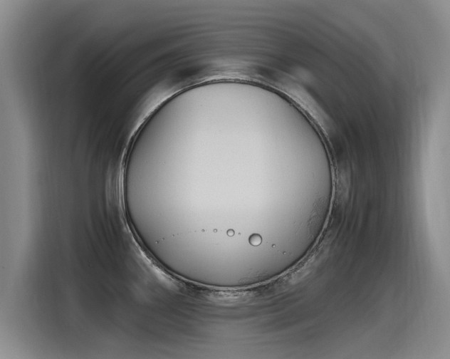 X0000115281290200911061320