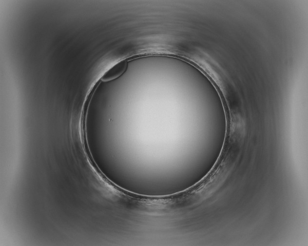 X0000115281293200911061320