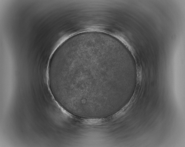 X0000115281294200911061320