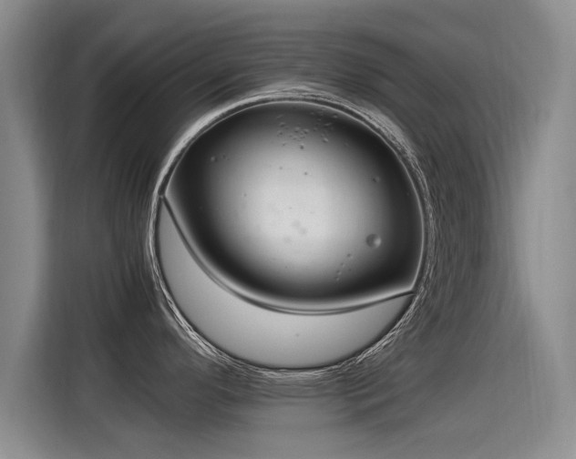 X0000115281296200911061320